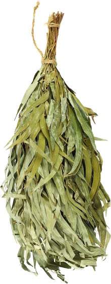 Rento Eukalyptus-Saunabesen.